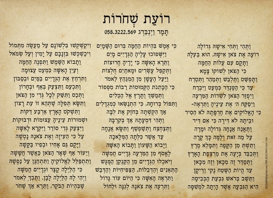 רועת שחורות_תמר וינברג