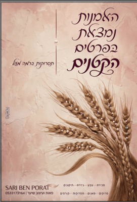 צילום מסך 2026-05-12 163917