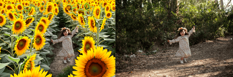 צילום מסך 2023-06-19 150746