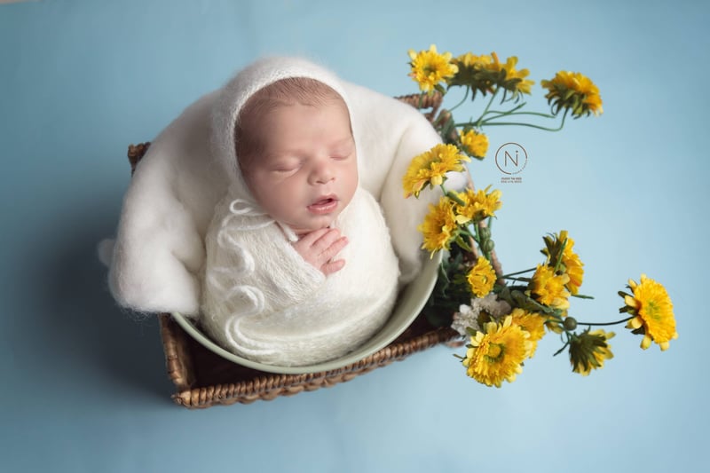 צילום נעמה נייהוז 0504160055 (8) (1)