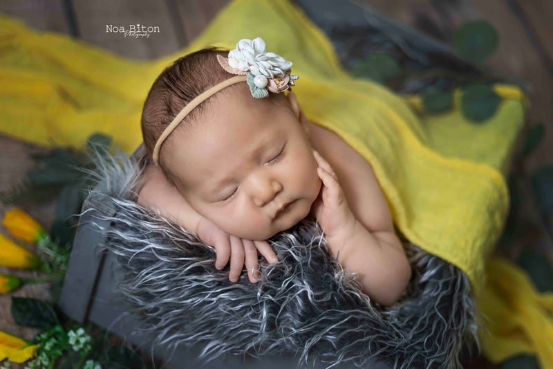 2U7A1369 מוקטנת