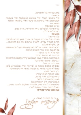 לשליחה במייל