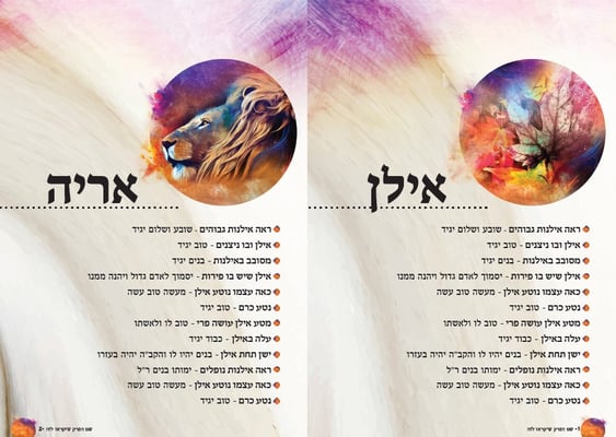צילום מסך 2023-02-09 102440