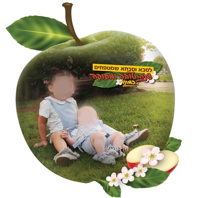 אליש סטודיו