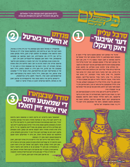 image (12)