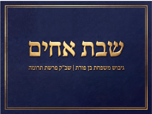 צילום מסך 2026-02-08 085446