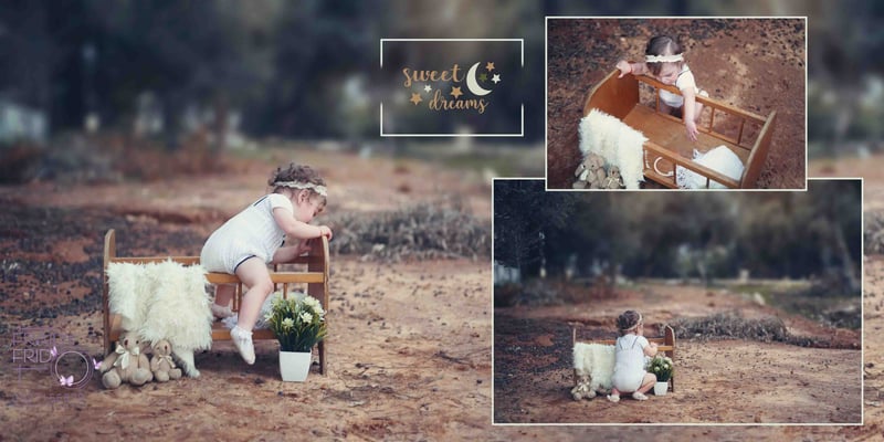 מיטה דסי מושקוביץ בוק copy