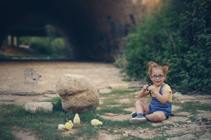 1 שלוימי אפרוחים