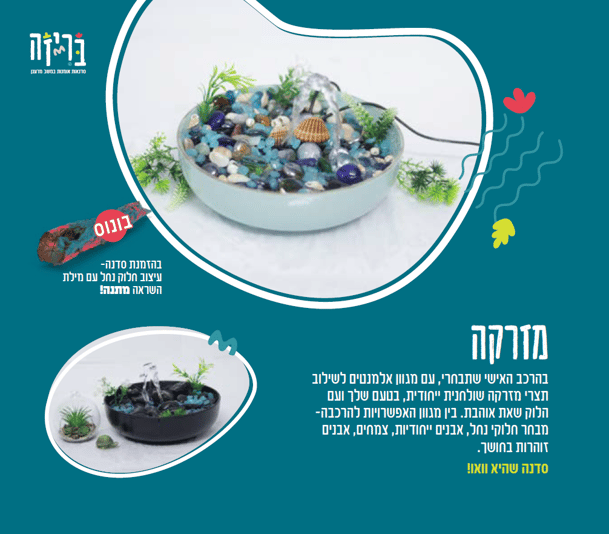 צילום מסך 2025-08-25 124443