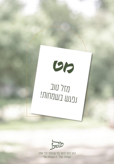 צילום מסך 2026-10-28 201013