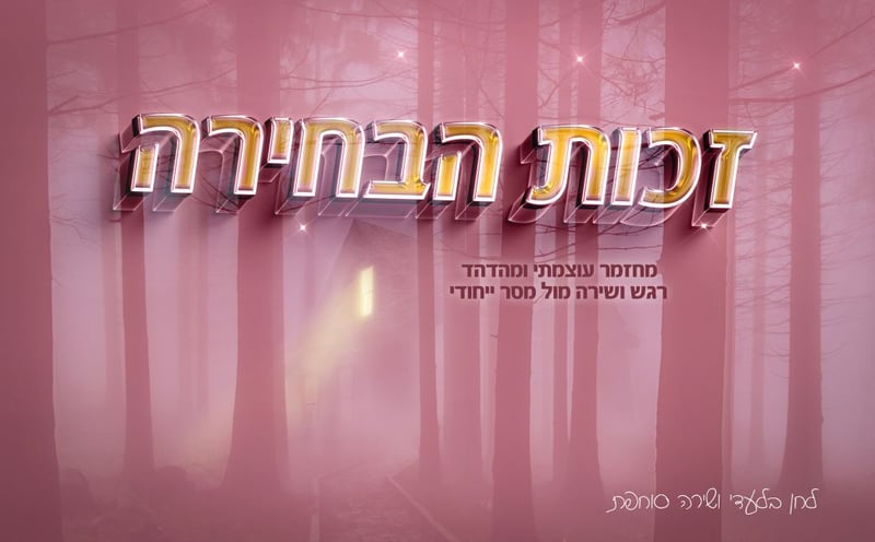 זכות הבחירה מחזמר ללא פלאשים