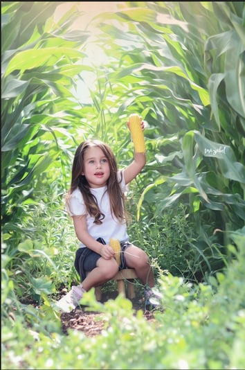 איכות לשליחה