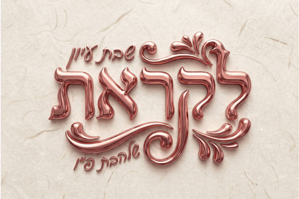 צילום מסך 2026-01-12 083604