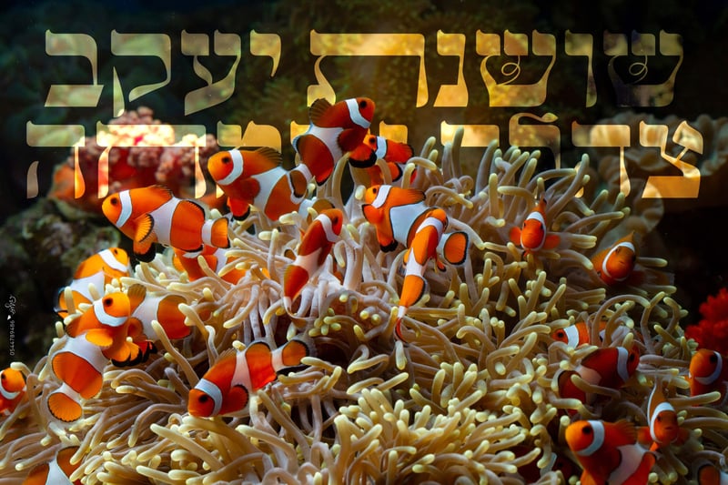 cute-anemone-fish-playing-coral-reef-beautiful-color-clownfish-coral-feefs 2אתגר דגים חודש אדר כרזה