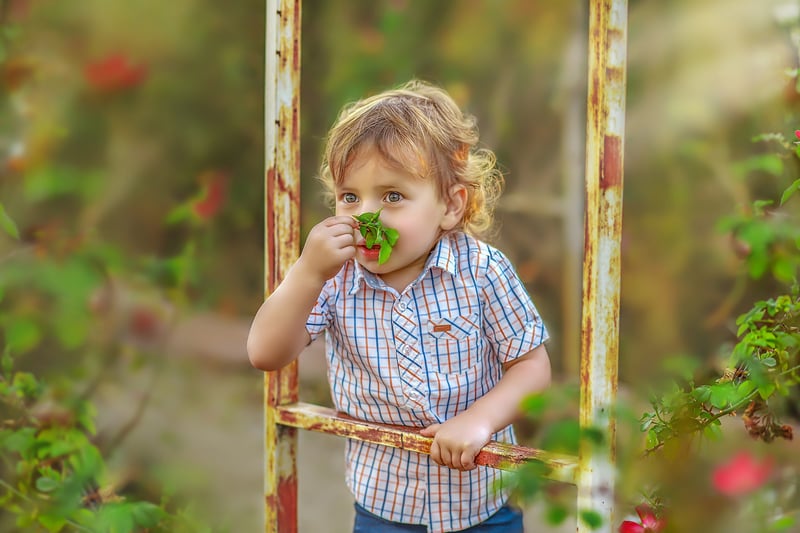 צילום יהודית סמט 0548543595 (14)