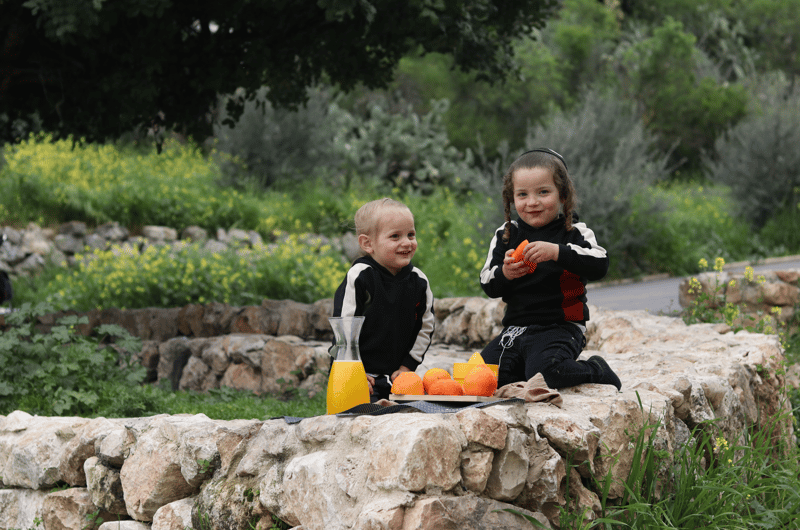 צילום מסך 2024-03-28 143616