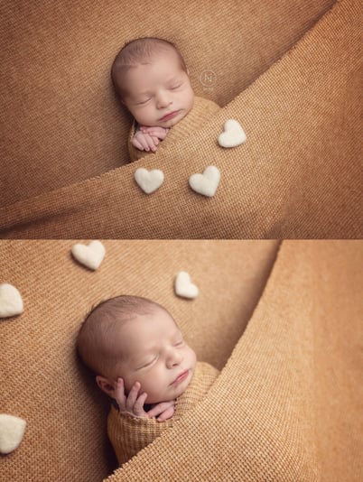 צילום נעמה נייהוז 0504160055 (2) (1)