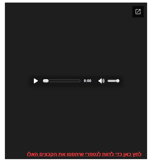 צילום מסך 2024-11-13 112054