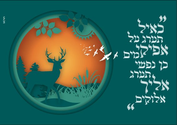 קישוט-איכות נמוכהההה