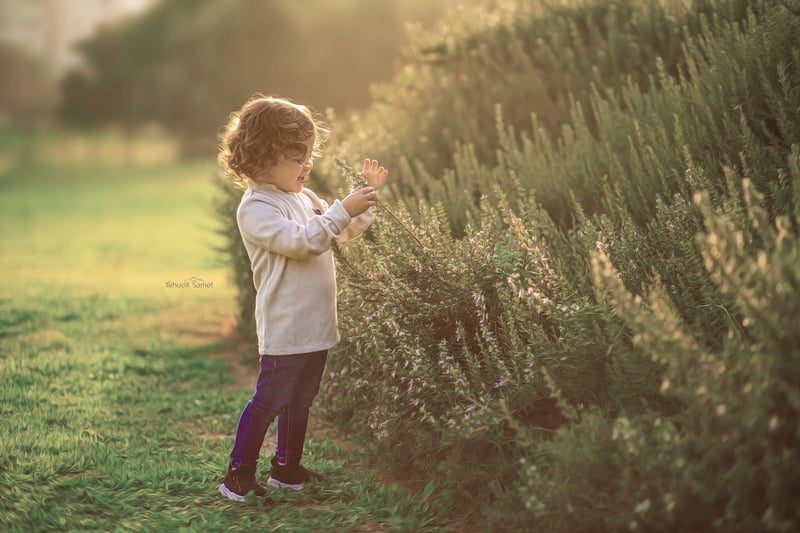 צילום יהודית סמט (14)