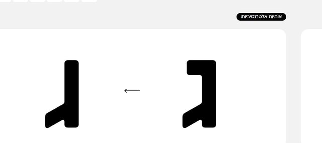 צילום מסך 2024-11-03 152255