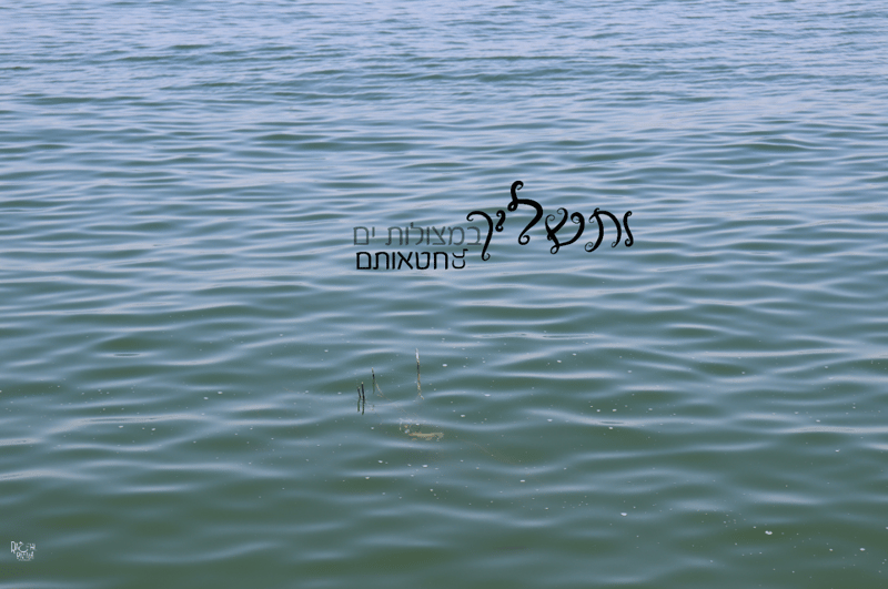 ותשליך איכות נמוכה רחל אורן