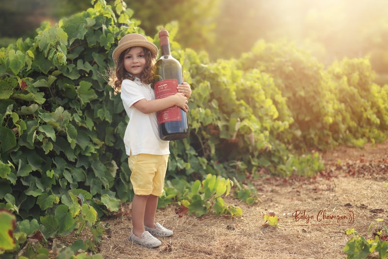 בתיה חיימזון (5)