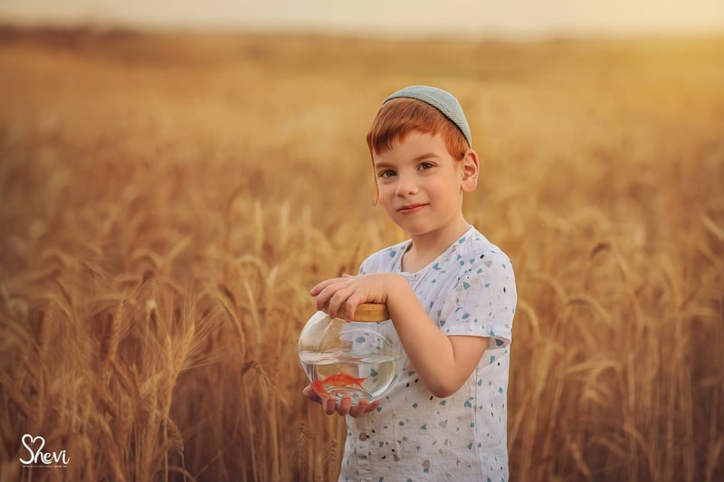 שבי מורסקי 0527189310 (11)