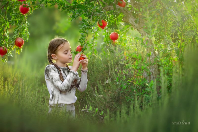 צילומי ר''ה יהודית סמט 0548543595