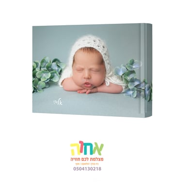 HBOOK006