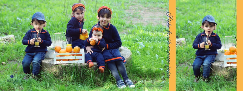 אלבום (11) copy