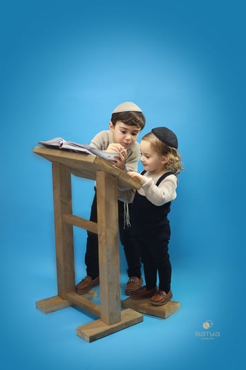 מוקטנת4
