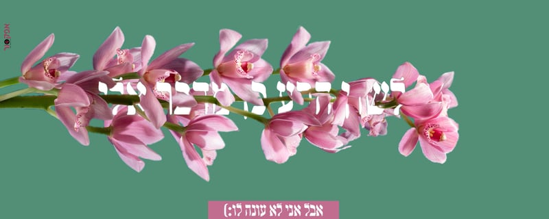 יצירה 2