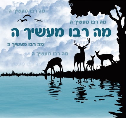 יער ואילות-01