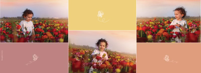 רוחי וקסלשטיין 0533138037(7)