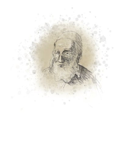 jזקן