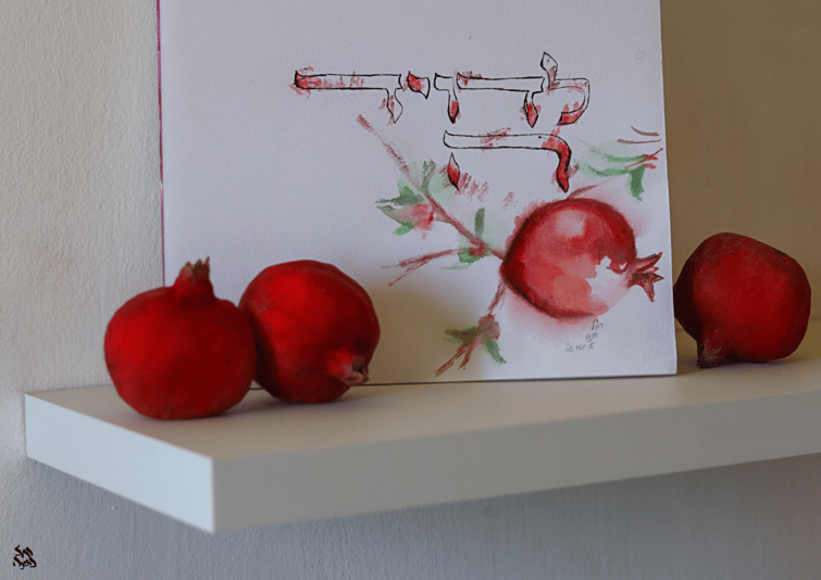 צילום מסך 2024-09-06 004036