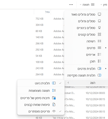 צילום מסך 2025-06-18 232421