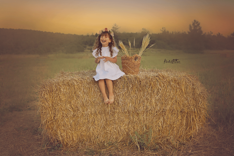 צילום מסך 2023-05-22 003838