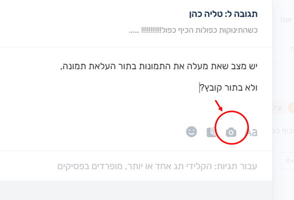 תמונה1