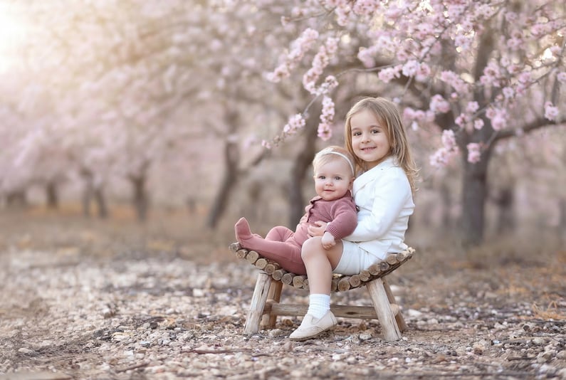 0556735561צילום לאה גולדווסר