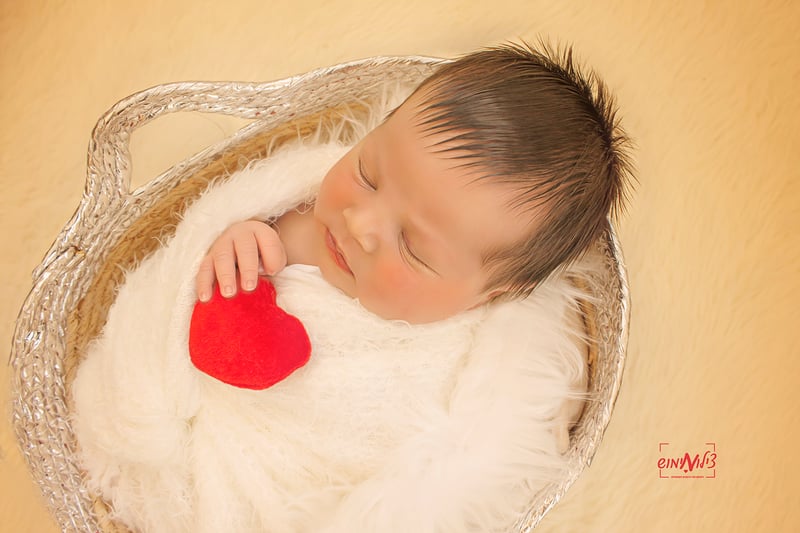 IMG_3600(מוקטן)