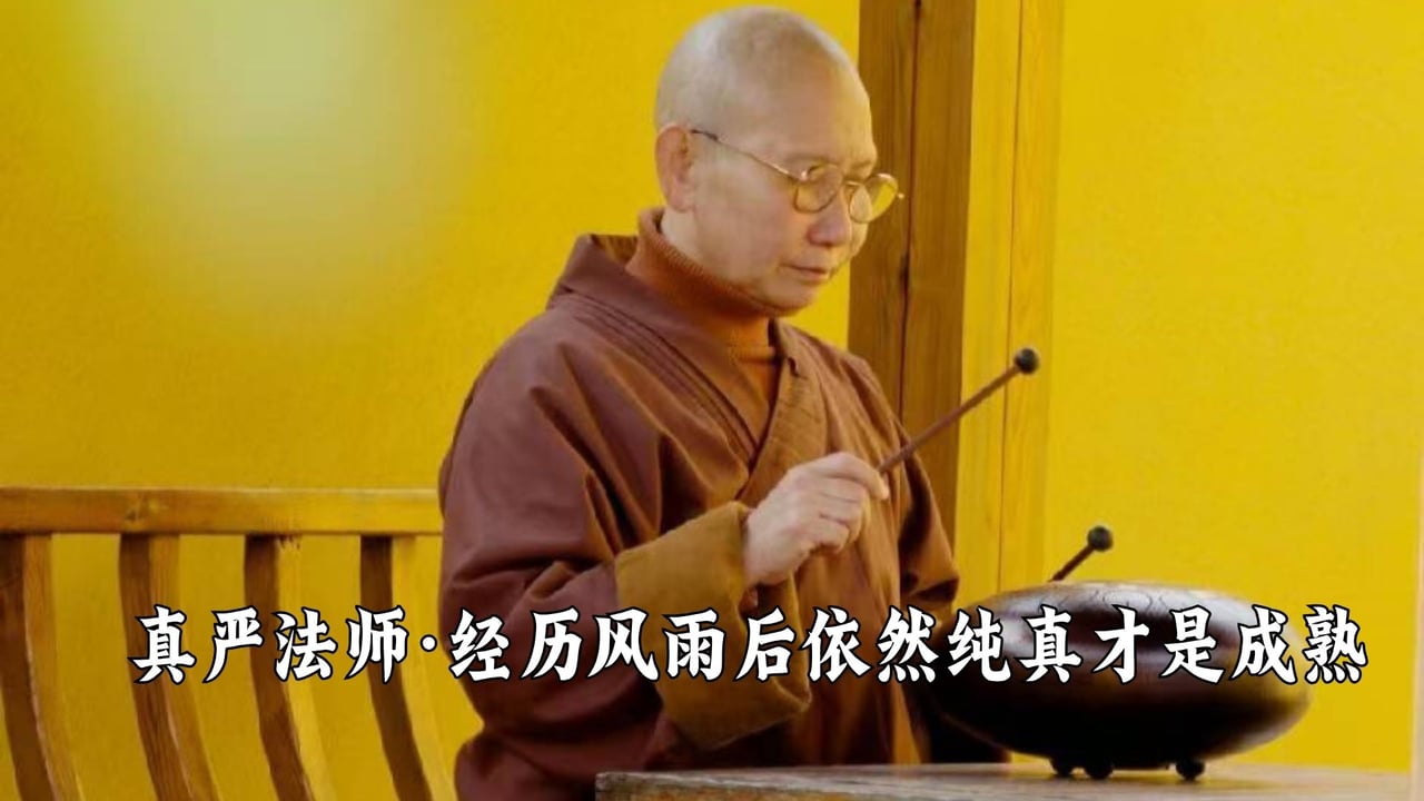 经历风雨后依然保持纯真才是真的成熟——真严法师