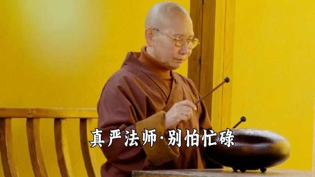 别怕忙碌——真严法师