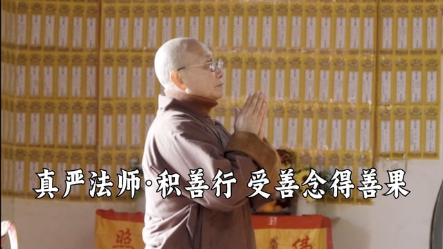 积善行，受善念，得善果——真严法师