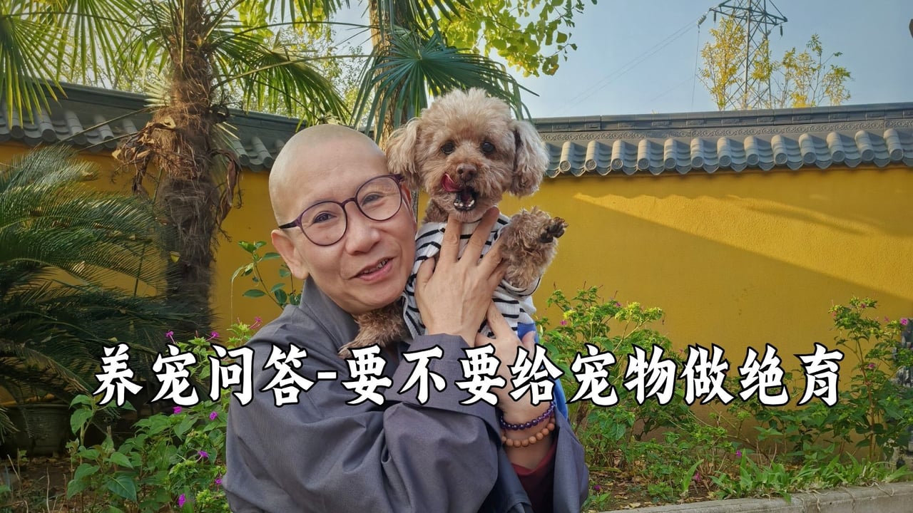 家有宠物要不要做绝育？——真严法师怎么看