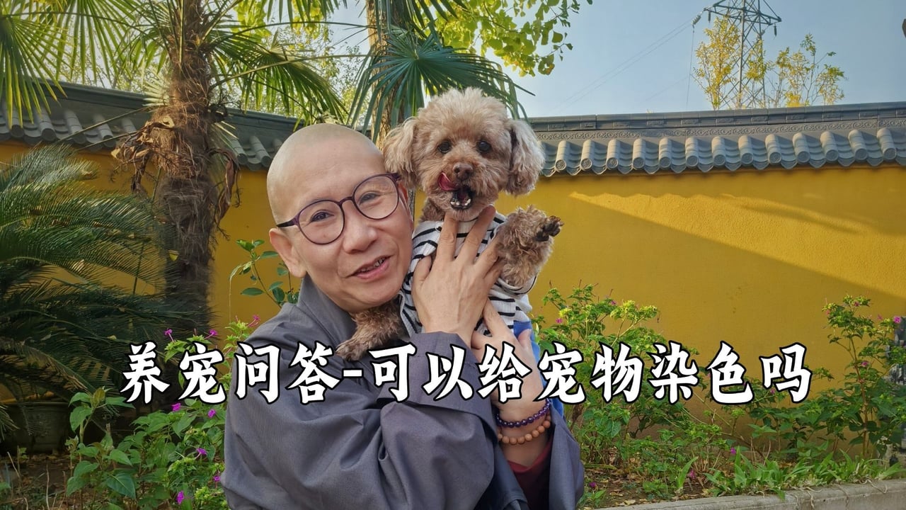 家里孩子想要给宠物染色，怎么办？听真严法师怎么说