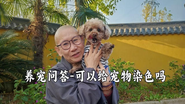 家里孩子想要给宠物染色，怎么办？听真严法师怎么说