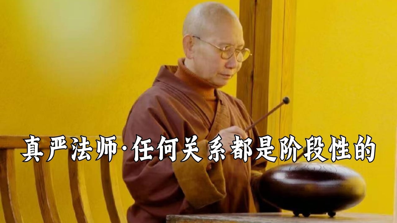 任何关系都只是阶段性陪伴——真严法师