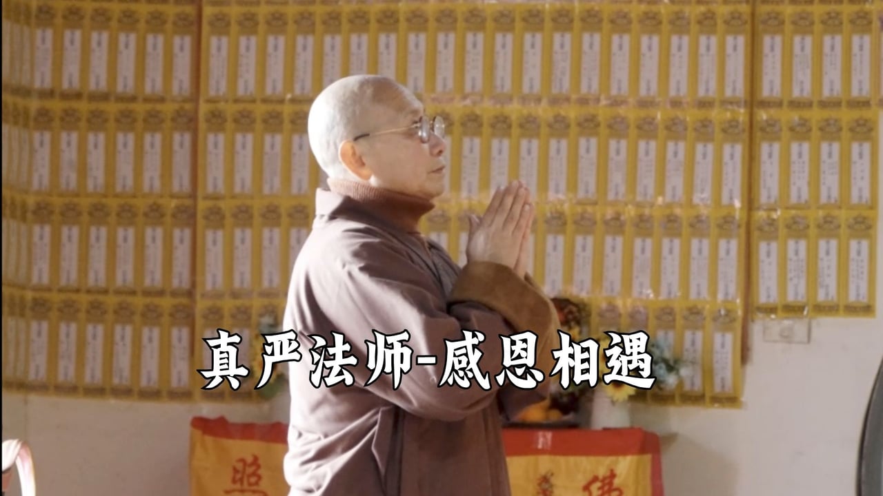感谢相遇——真严法师